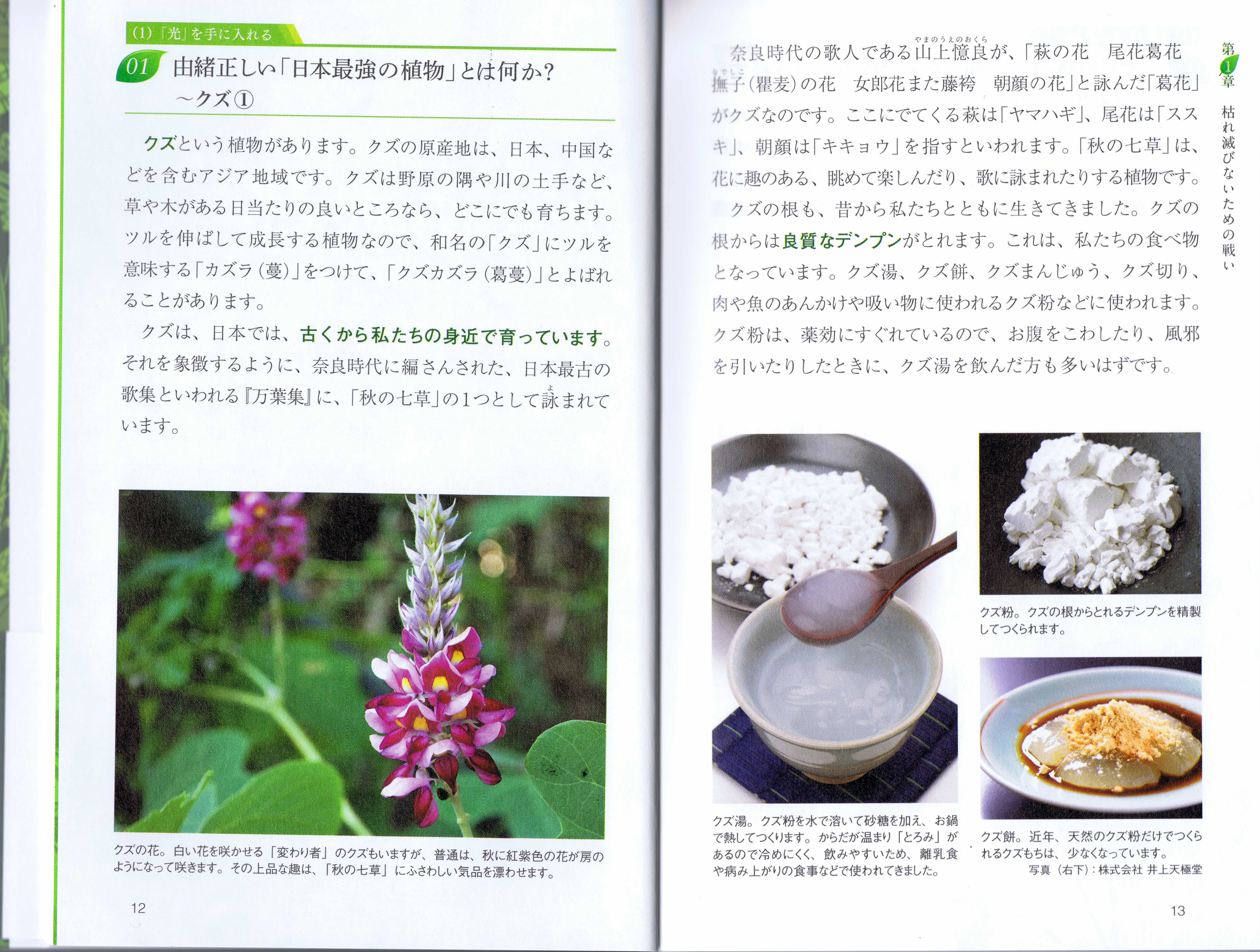 吉野本葛の老舗 奈良 井上天極堂の公式サイト 吉野本葛の老舗 奈良 井上天極堂の公式サイト