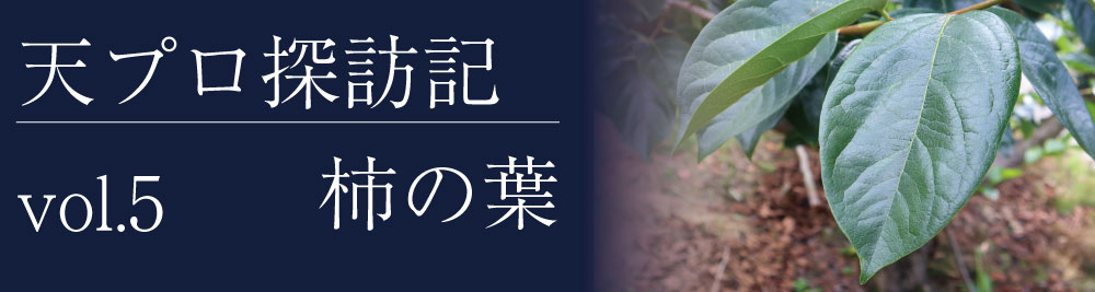 吉野本葛の老舗 奈良 井上天極堂の公式サイト
